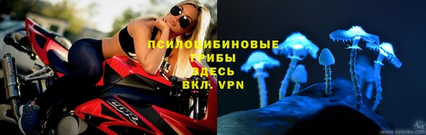 мдпв Гусиноозёрск