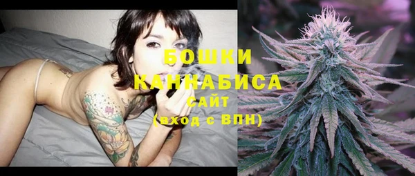мдпв Гусиноозёрск